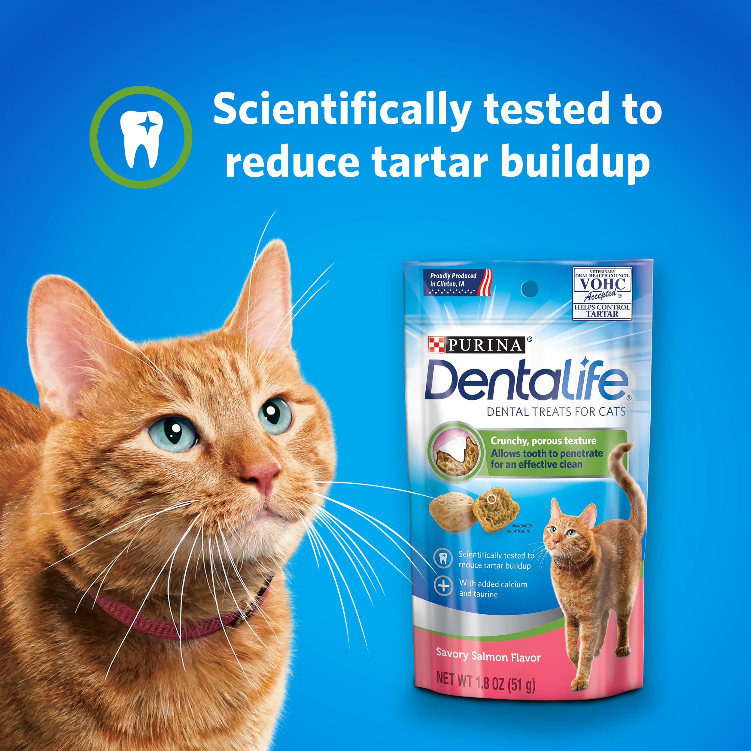 Purina DentaLife Cat Dental Treats Savory Salmon Flavor - (10) 1.8 oz.  Pouches - Walmart.com