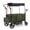 Green, variant on Wagon Stroller for 2 Kids, 3 in 1 Push and Pull Foldable Wagon with Footwell, All-Terrian Wheels, Includes Adjustable Canopy, Ample Organizer, 5 Point Harness (Black)
