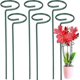 thumbnail image 1 of 6 Pack Plant Stakes For Flowers, Metal Single Stem Plant Support, 1 of 4