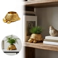 thumbnail image 1 of ZZHZGZ Canada Sale Tortoise Shaped Golden Tone Container for Succulents Small Indoor Desktop Daily Use, 1 of 5