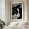 thumbnail image 6 of Lass True Companion - Neskowin Oregon Photography Dog Animal Portrait Black and White Wildlife Nature Unframed Wall Art Print 12 x 16 inches, 6 of 13