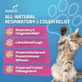 thumbnail image 3 of PetSilver Immune Support - Promotes Respiratory Health in Cats & Dogs, Sinus & Kennel Cough Treatment, Natural Antibiotic, Allergy Relief, Chelated Silver Formula, Easy-to-Use Dropper, USA - 2 fl oz, 3 of 8