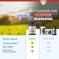 thumbnail image 3 of TrueMed Super Berberine 4250 mg with Ceylon Cinnamon & Dihydroberberine | Metabolic Support & Cardiovascular  Health Support Supplement, 30 Vegetable Capsules, 3 of 11