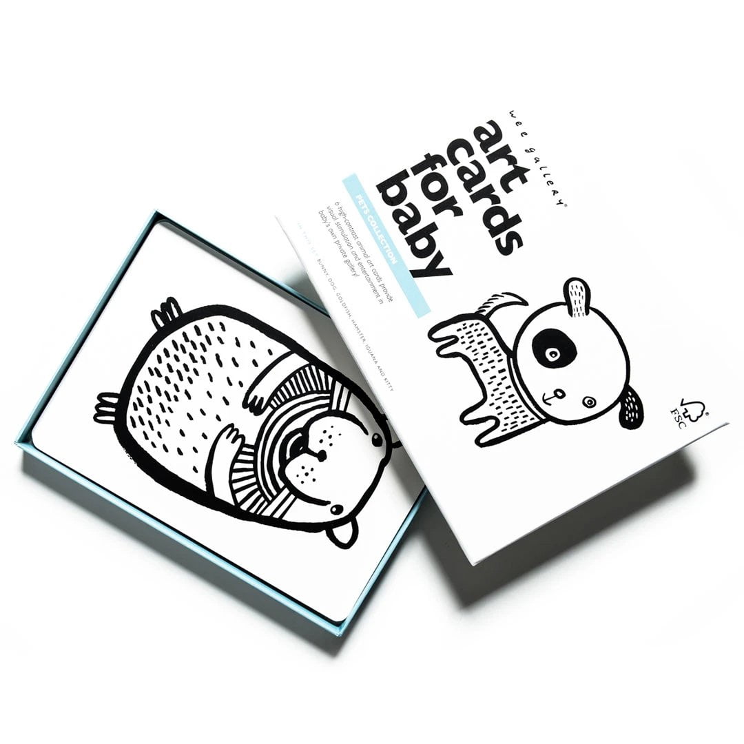 Wee Gallery Art Cards for Baby - Pets Collection - Walmart.com
