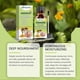 thumbnail image 3 of Nail Defense Bee-Venom Treatment Serum Powerful Nail Growth Repair Serum for Thin Nails for Nail Growth, 3 of 5