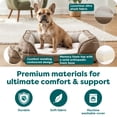 thumbnail image 5 of FurHaven Pet Products Velvet Waves Perfect Comfort Memory Top Sofa-Style Pet Bed for Dogs & Cats - Celadon Green, Medium, 5 of 9