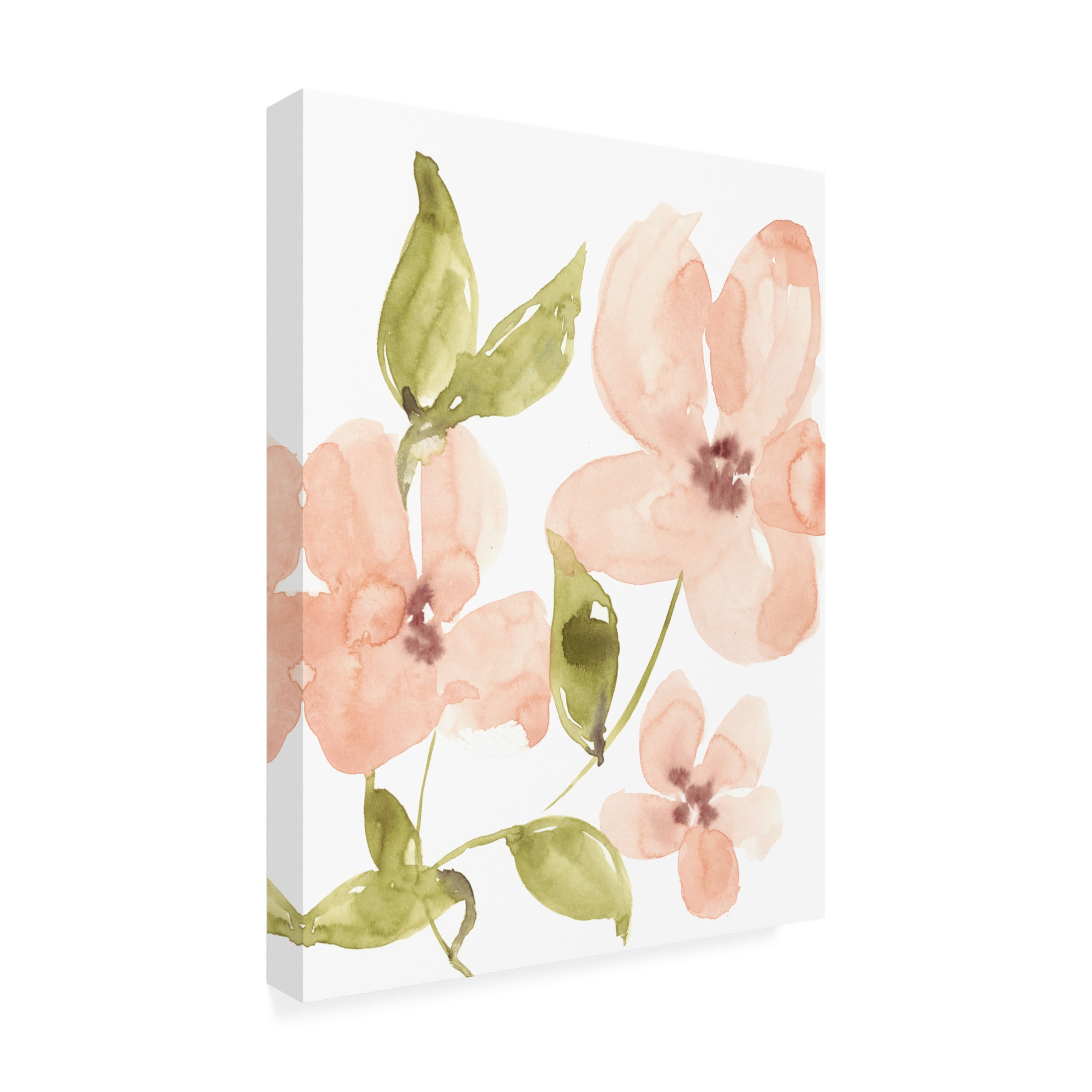 Canvas Wall Art - Jennifer Goldberger 'Soft Coral Blooms I' Wall Art for Living Room, Bedroom, or Office Décor by Trademark Fine Art - 14 x 19 Inches