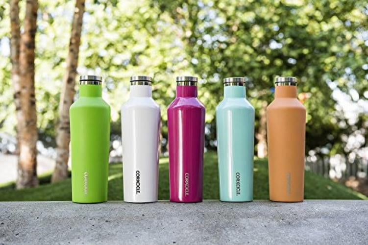 Water Bottle & Thermos Triple Insulated Shatterproof Stainless Steel 9 oz Corkcicle Canteen Classic Collection Brushed Steel 