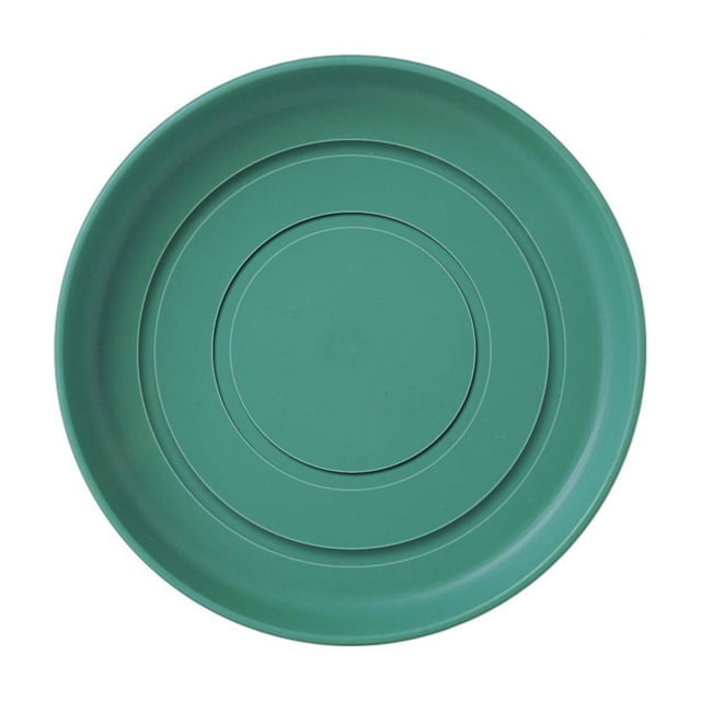 Bol d'Alimentation Rond Coloré pour Animaux Bol de Nourriture pour Chat Vert