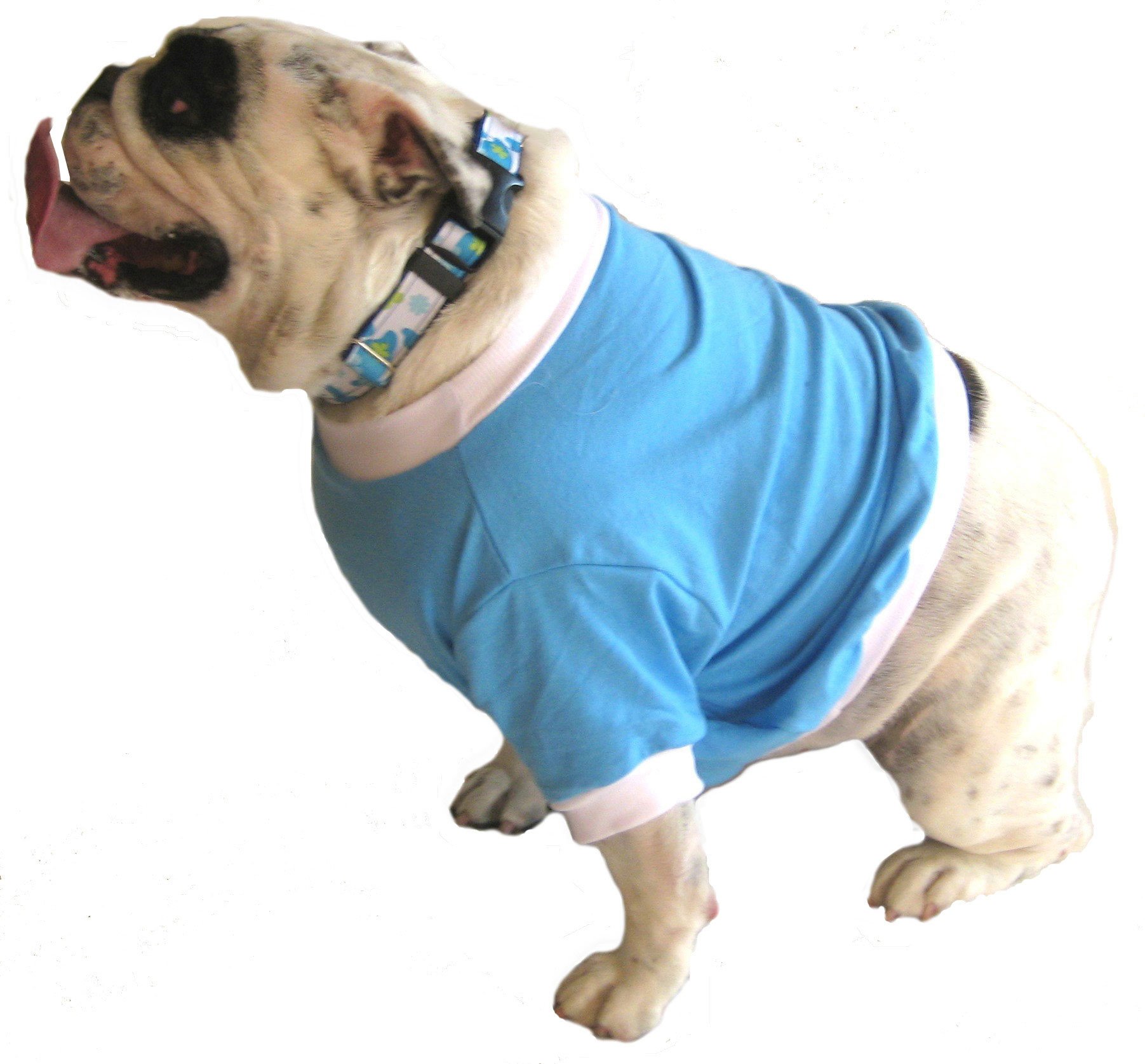 English Bulldog BEEFY Shorty T-Shirt - Fits 31 to 55 Pound Dog - Available in 6 Colors!