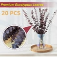 thumbnail image 4 of 20 Pcs Dried Eucalyptus Stems 17" Eucalyptus Decor ,Fresh Eucalyptus Leaves Artificial Eucalyptus for Shower Hanging, Wedding Decor Home Decor Farmhouse Decor DIY Artificial Plants,Red, 4 of 8
