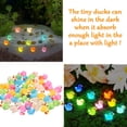 thumbnail image 2 of 60 Pieces Mini Resin Ducks Luminous Tiny Ducks Miniature Duck Glow in The Dark Duck Micro Garden Landscape Potted Plants Decoration Aquarium Dollhouse Ornament for Family Crafts Decor, 2 of 6