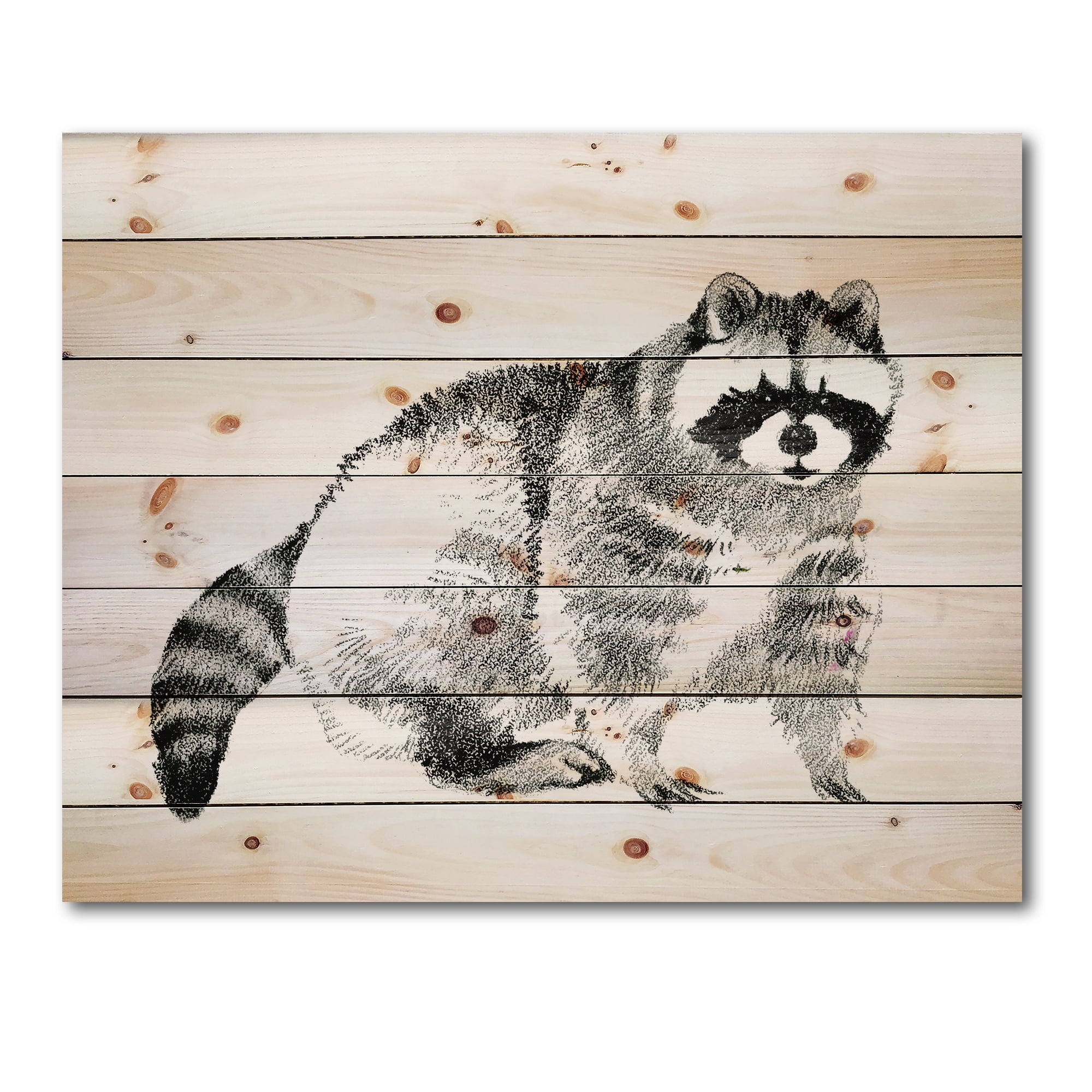Designart 'Black and White Portrait Of Raccoon' Farmhouse Print on Natural Pine Wood