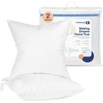 Luxury Down Alternative Square European Pillow Insert - 26x26 inch - 2 Pack