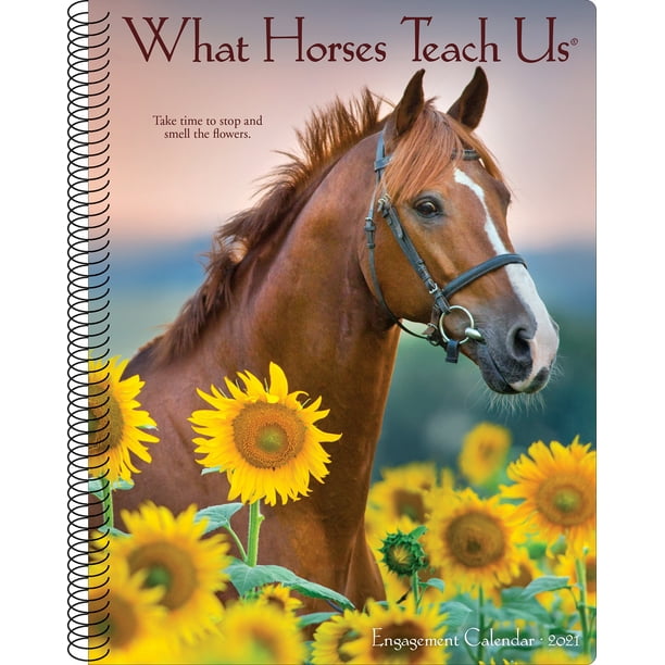 Willow Creek Calendar 2025