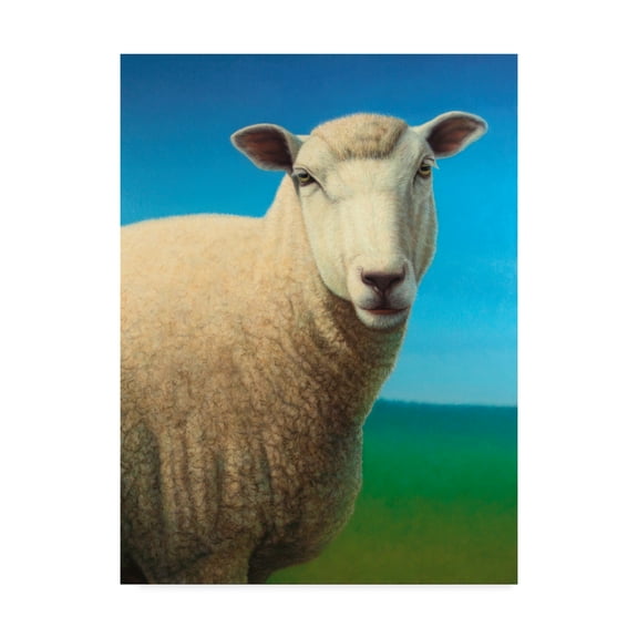 Trademark Fine Art 'Sheep' Canvas Art by James W. Johnson