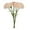 F, variant on Floral Arrangement for Home Carnation Array in Vase with Daylight- Realistic Petals and Lifelike for Elegant Interior