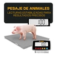 thumbnail image 3 of Indicador Inalambrico Báscula Electronica LED PC Impresora Rhino I-QYW, 3 of 6