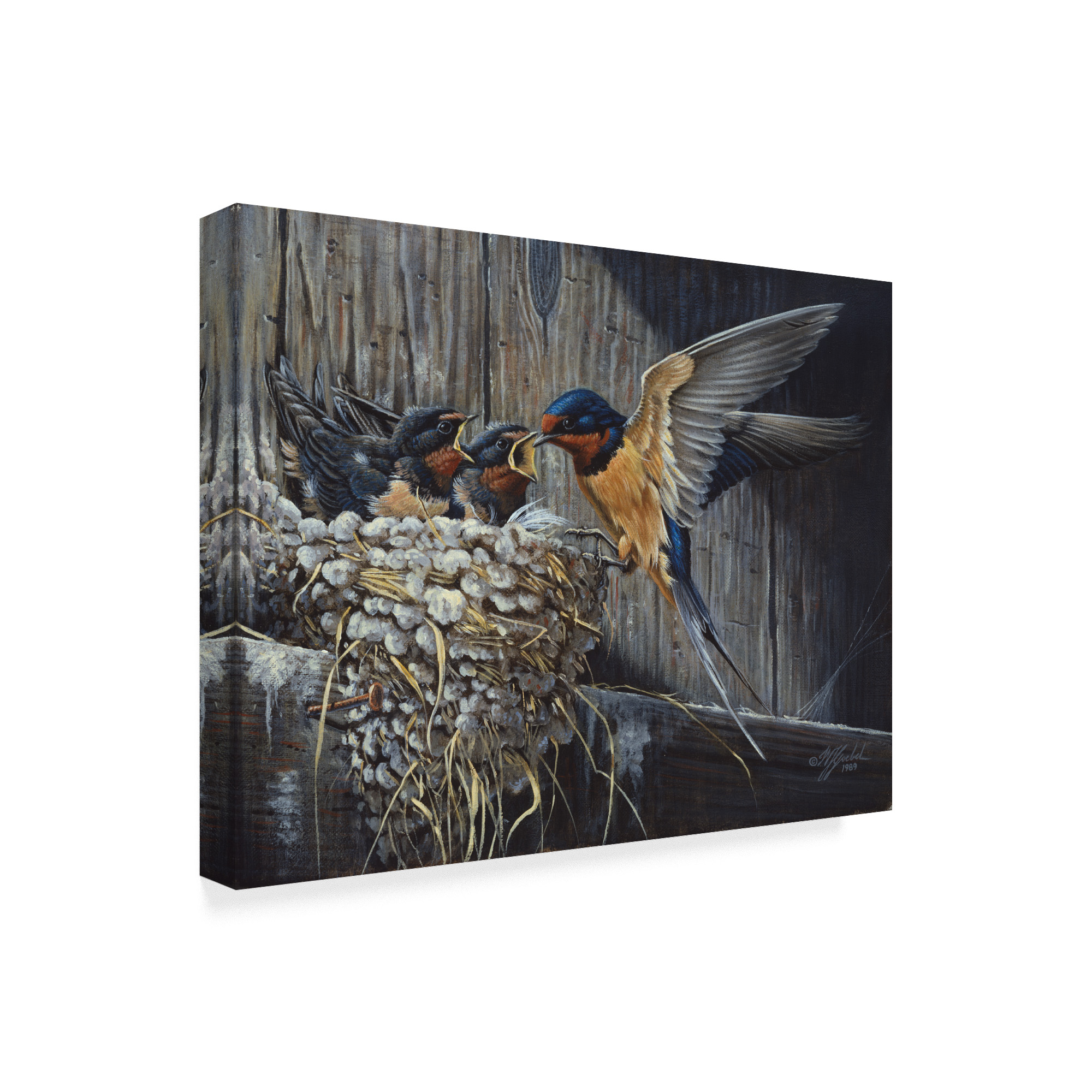 Trademark Fine Art 'Country Barn Swallows' Canvas Art by Wilhelm Goebel