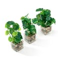 thumbnail image 3 of K-Cliffs Set of 3 Faux Green Plants Potted in Clear Glass Cubes with Mini Pebbles, 3 of 5
