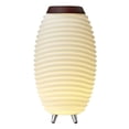 thumbnail image 4 of Kooduu Synergy 50 Lamp 1-Light Cordless Rechargeable Dimmable Indoor Outdoor Speaker Lamp, 4 of 16