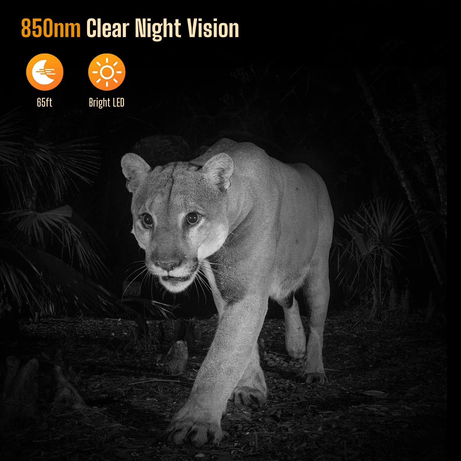 CAMPARK Trail Camera with SD Card 24MP 1080P Game Hunting Camera with Night Vision Waterproof