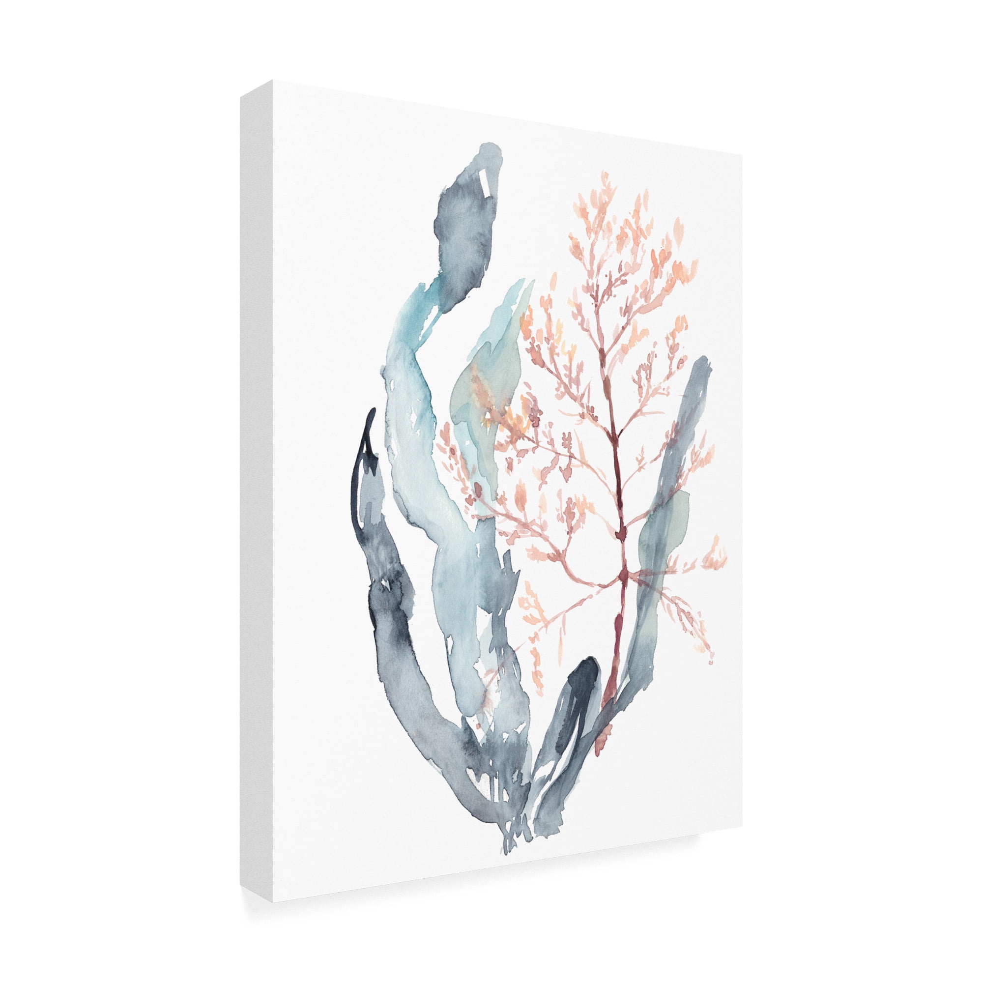 Trademark Fine Art 'Sweet Seaweed II' Canvas Art by Jennifer Goldberger