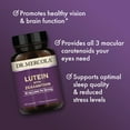 thumbnail image 4 of Dr. Mercola Lutein with Zeaxanthin, 30 Servings (30 Capsules), 40 mg Lutein Per Serving, Dietary Supplement, Supports Vision Health and Cognitive Function, Non-GMO, 4 of 6