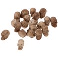 thumbnail image 1 of 20 estatuas pequeñas de cabezas de calavera, realistas y elegantes, ideales para decorar en Halloween., 1 of 7