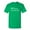 Irish Green, variant on I Don't Insult People Sarcastic Humor Graphic Novelty Funny Tall T Shirt