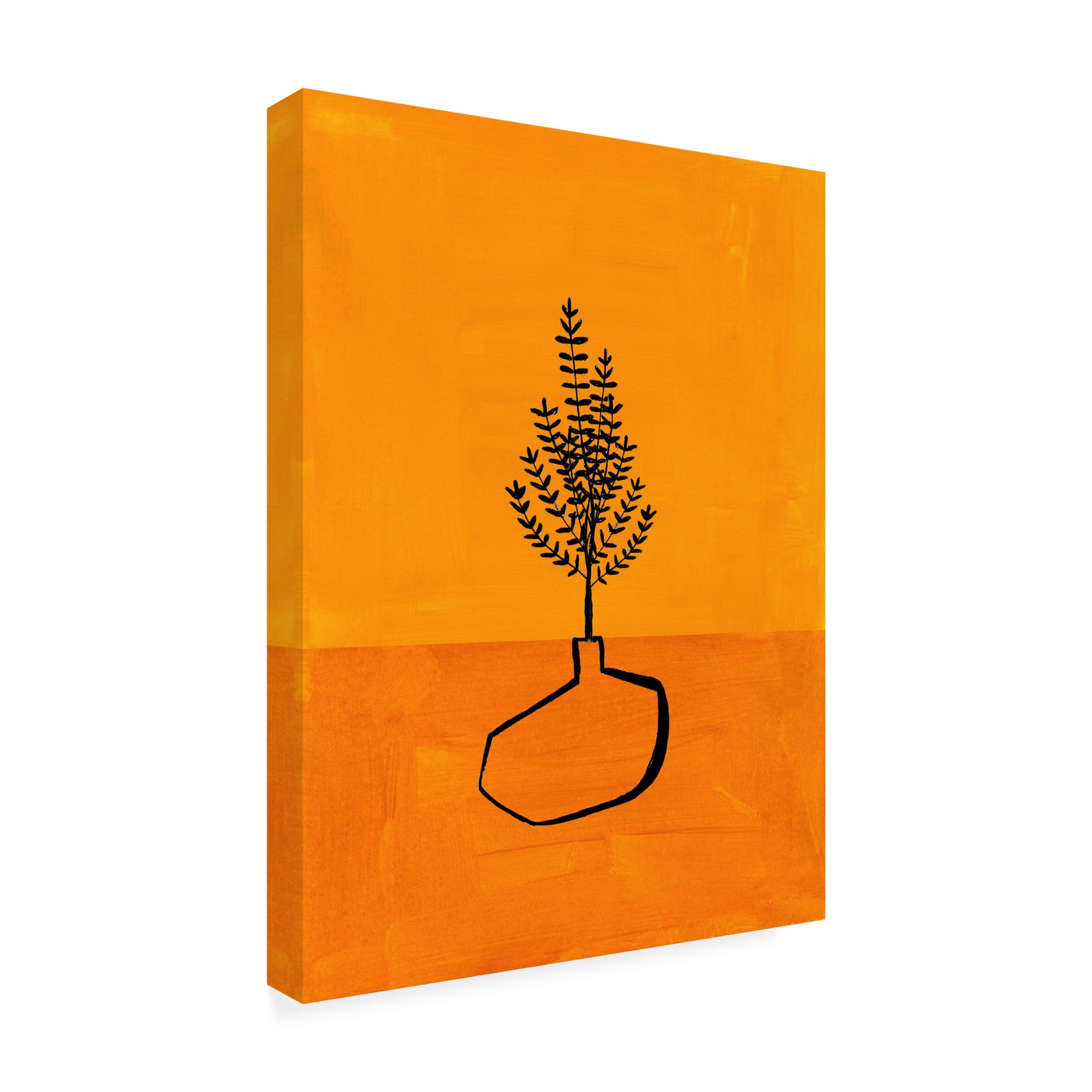 Trademark Fine Art Ejaaz Haniff  Sunset Vase Canvas Wall Art