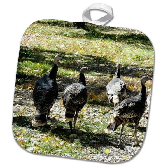 3dRose, Four Turkeys awaiting there fate for Thanksgiving Day, 8x8 Potholder