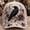e, variant on 2D Halloween Embroidered Baseball Cap for Women, Adjustable Cotton Hat with Witch, Ghost, Pumpkin & Bat Design(b)
