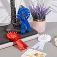 thumbnail image 4 of SUNNYCLUE 12 Pcs 3 Colors Award Ribbon Satin Participation Ribbon Honorable Ribbon Badge Award Ribbon Rosette Set for Classroom Prize Science Fair Talent Show Spelling Bee, 4 of 7