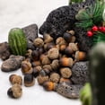 thumbnail image 3 of 48 PCS Artificial Peanuts Fake Decorations Vegetables Nuts Family Gatherings Kitchen Food Props Home Fall Harvest Party Decor Christmas Photography Props, 3 of 3