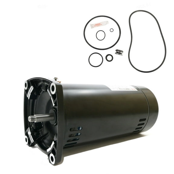 Puri Tech Sta-Rite Max-E-Pro .75HP P6R6D-205L Replacement Motor Kit AO Smith SQ1072 with GO-KIT-79