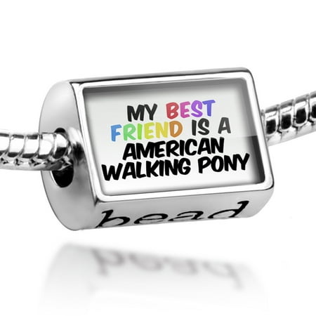 Bead My best Friend a American Walking Pony, Horse Charm Fits All European (Best Walking Shoes For Europe)