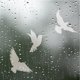 thumbnail image 5 of Adhesivos Para Ventanas Contra Colisiones De Colibríes. Adhesivos Decorativos Electrostáticos Para Cristales, Blancos Y Removibles. Adhesivos De Advertencia Contra Colisiones De Aves., 5 of 8
