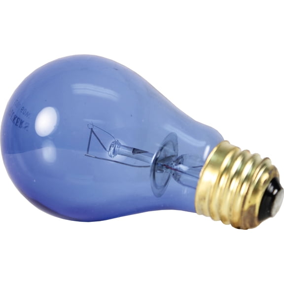 Daylight Bulb for Hermit Crabs 60 watt
