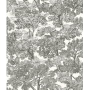 Chesapeake Spinney Black Toile Prepasted High Performance Wallpaper, 20.5-in by 33-ft, 56.4 sq. ft.