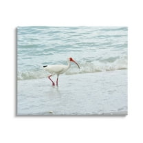 Bird Stepping Sea Waves Splash Animals & Insects Photograph Gallery Wrapped Canvas Print Wall Art