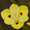 Yellow, variant on Expert Gardener African Iris (2.5 Quart) White Blooming Evergreen Perennial - Full Sun Live Outdoor Plant