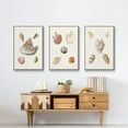thumbnail image 6 of Pastel Knorr Shells VI - Framed Premium Gallery Wrapped Canvas L Frame 3 Piece Set - Ready to Hang, 6 of 9