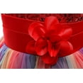 thumbnail image 6 of MAVLLY Flower Girls Sequin Party Dress Rainbow Mesh Tulle Princess Lace Ball Gown Prom, 6 of 16