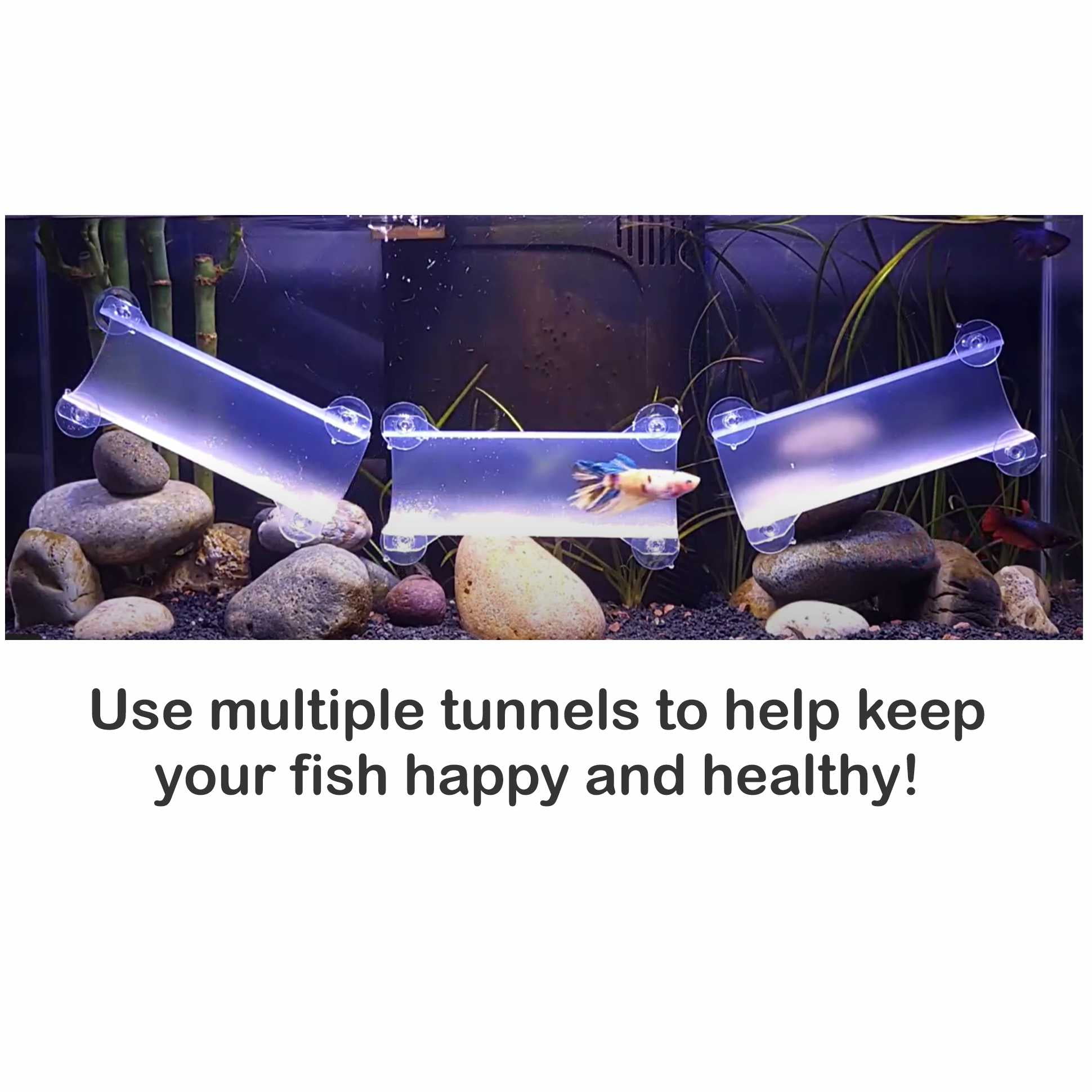 SeeShelter Brand Betta Tunnel in Translucent Clear Fish Hide Enrichment Aquarium  Decor 