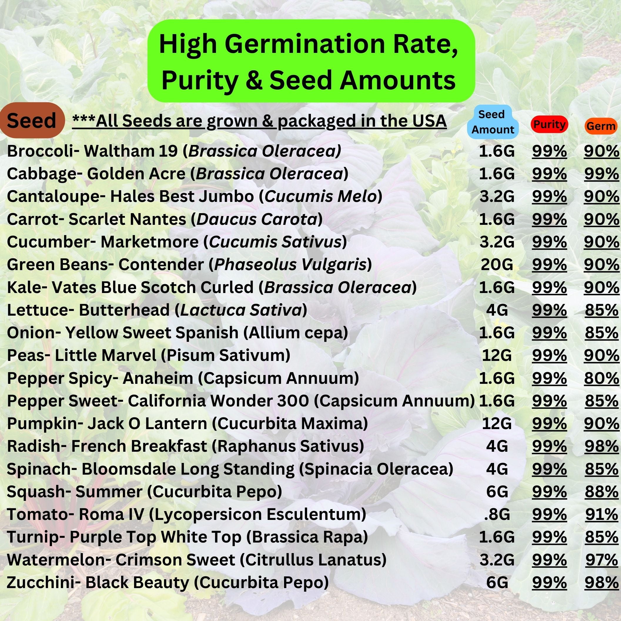 Survival Seed Vault: 10,000+ Heirloom & Non-GMO Seeds (20 Varieties) by B&KM Farms