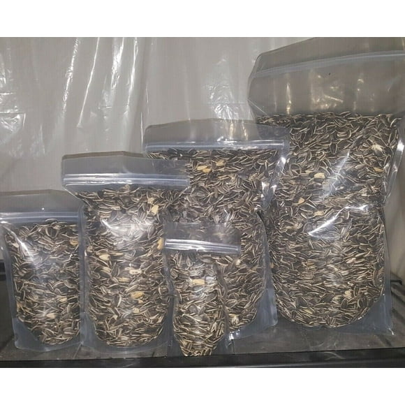 Medium Black SUNFLOWER Seeds UN-SALTED PARROT Bird Hamster Mouse