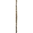 thumbnail image 4 of Ekena Millwork 25 5/8"OD x 1"P Shell Ceiling Medallion, Hand-Painted Rubbed Bronze, 4 of 6