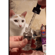 Hyalogic HyaFlex Feline Hip & Joint Formula 1 oz. Hyaluronic Acid For Cats SA10004