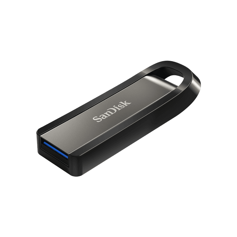 Sotel  SanDisk Extreme Go lecteur USB flash 64 Go USB Type-A 3.2 Gen 1  (3.1 Gen 1) Acier inoxydable